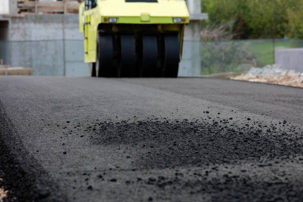 Best Residential Driveway Paver Services  in Carle Place, NY